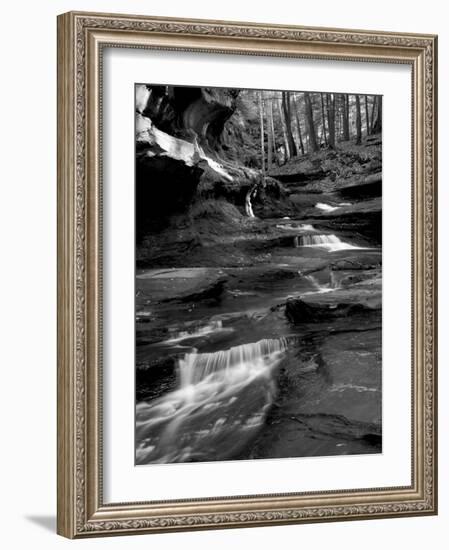 Vitz-Jim Crotty-Framed Photographic Print