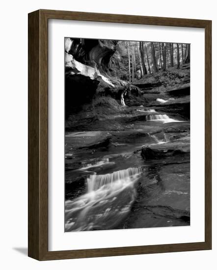 Vitz-Jim Crotty-Framed Photographic Print