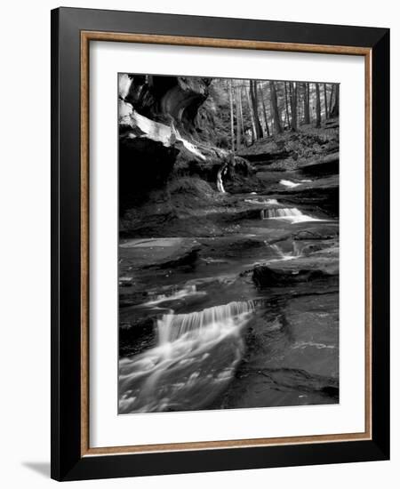 Vitz-Jim Crotty-Framed Photographic Print