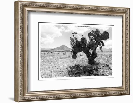 ¡Viva Mexico! B&W Collection - Cactus in the Mexican Desert-Philippe Hugonnard-Framed Photographic Print