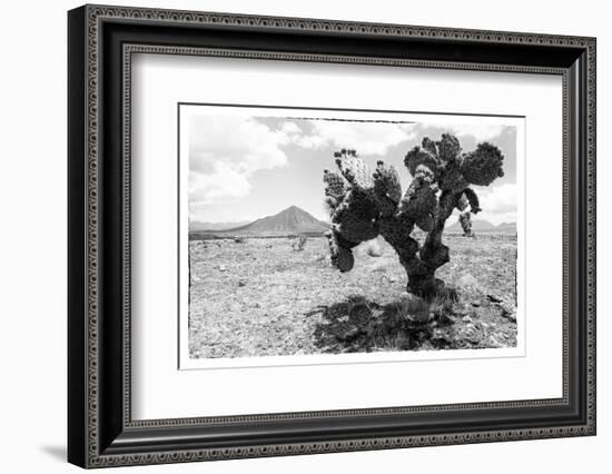 ¡Viva Mexico! B&W Collection - Cactus in the Mexican Desert-Philippe Hugonnard-Framed Photographic Print