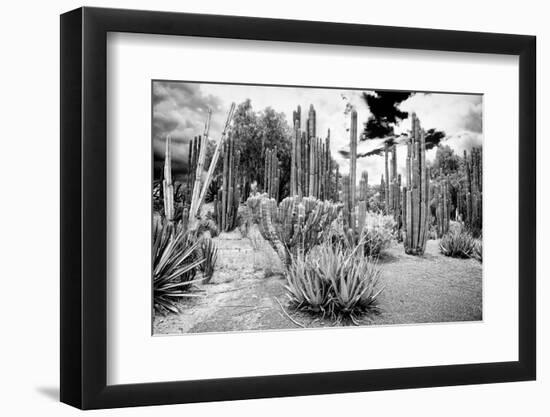 ¡Viva Mexico! B&W Collection - Cardon Cactus II-Philippe Hugonnard-Framed Photographic Print