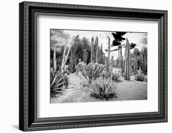 ¡Viva Mexico! B&W Collection - Cardon Cactus II-Philippe Hugonnard-Framed Photographic Print