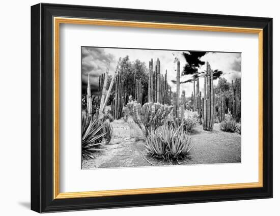 ¡Viva Mexico! B&W Collection - Cardon Cactus II-Philippe Hugonnard-Framed Photographic Print