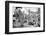 ¡Viva Mexico! B&W Collection - Cardon Cactus III-Philippe Hugonnard-Framed Photographic Print