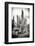 ?Viva Mexico! B&W Collection - Cardon Cactus IV-Philippe Hugonnard-Framed Photographic Print