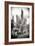 ?Viva Mexico! B&W Collection - Cardon Cactus IV-Philippe Hugonnard-Framed Photographic Print