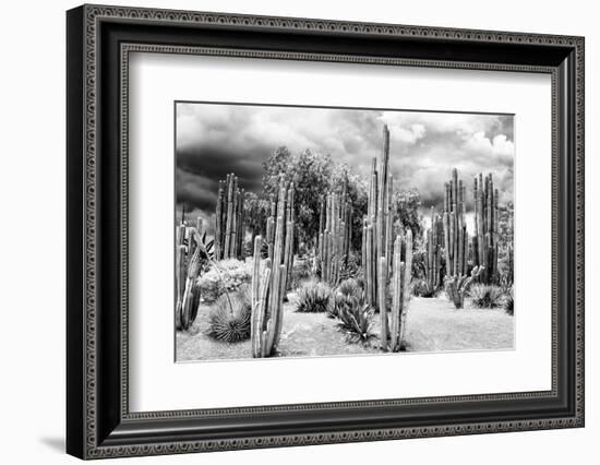 ?Viva Mexico! B&W Collection - Cardon Cactus-Philippe Hugonnard-Framed Premium Photographic Print