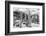 ?Viva Mexico! B&W Collection - Cardon Cactus-Philippe Hugonnard-Framed Premium Photographic Print