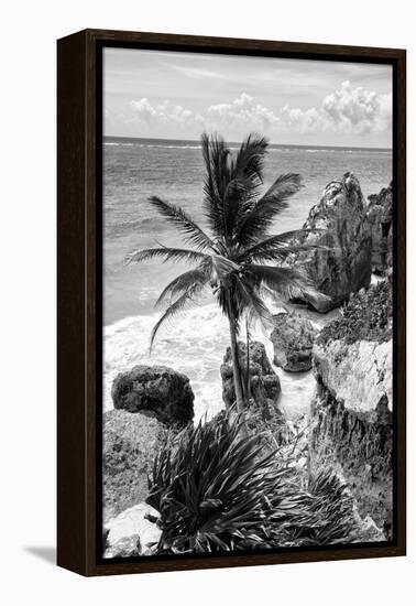 ¡Viva Mexico! B&W Collection - Caribbean Coastline in Tulum-Philippe Hugonnard-Framed Premier Image Canvas