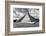 ¡Viva Mexico! B&W Collection - Chichen Itza Pyramid XIX-Philippe Hugonnard-Framed Photographic Print