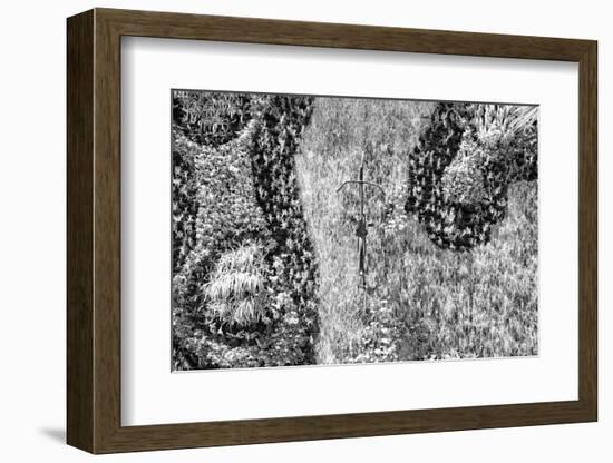 ¡Viva Mexico! B&W Collection - Earth from above III-Philippe Hugonnard-Framed Photographic Print