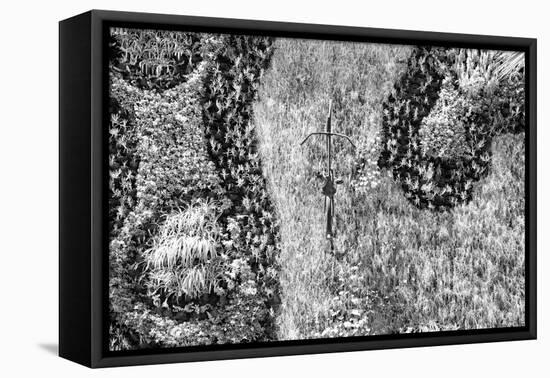 ¡Viva Mexico! B&W Collection - Earth from above III-Philippe Hugonnard-Framed Premier Image Canvas