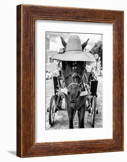 ¡Viva Mexico! B&W Collection - Horse with a straw Hat II-Philippe Hugonnard-Framed Photographic Print