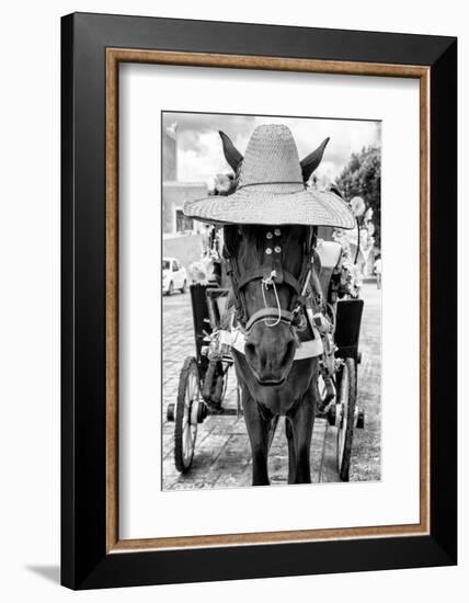 ¡Viva Mexico! B&W Collection - Horse with a straw Hat II-Philippe Hugonnard-Framed Photographic Print