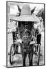 ¡Viva Mexico! B&W Collection - Horse with a straw Hat II-Philippe Hugonnard-Mounted Photographic Print