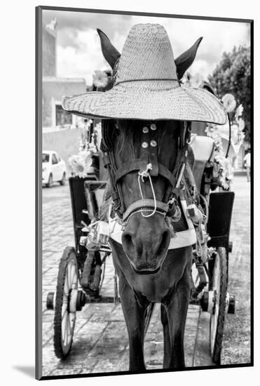 ¡Viva Mexico! B&W Collection - Horse with a straw Hat II-Philippe Hugonnard-Mounted Photographic Print