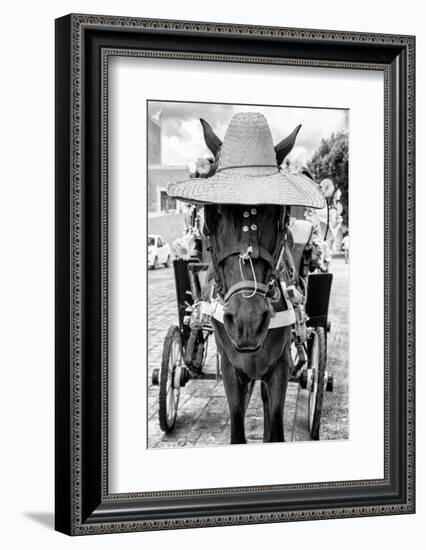 ¡Viva Mexico! B&W Collection - Horse with a straw Hat II-Philippe Hugonnard-Framed Photographic Print