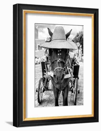 ¡Viva Mexico! B&W Collection - Horse with a straw Hat II-Philippe Hugonnard-Framed Photographic Print