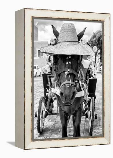 ¡Viva Mexico! B&W Collection - Horse with a straw Hat II-Philippe Hugonnard-Framed Premier Image Canvas