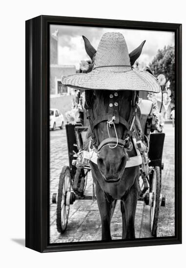 ¡Viva Mexico! B&W Collection - Horse with a straw Hat II-Philippe Hugonnard-Framed Premier Image Canvas