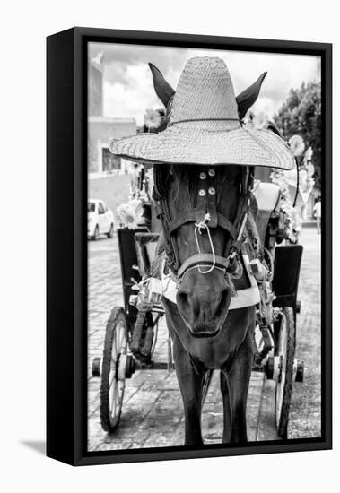 ¡Viva Mexico! B&W Collection - Horse with a straw Hat II-Philippe Hugonnard-Framed Premier Image Canvas