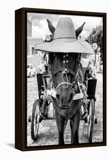 ¡Viva Mexico! B&W Collection - Horse with a straw Hat II-Philippe Hugonnard-Framed Premier Image Canvas