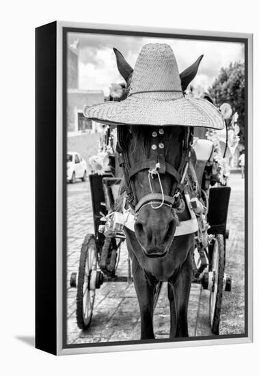 ¡Viva Mexico! B&W Collection - Horse with a straw Hat II-Philippe Hugonnard-Framed Premier Image Canvas