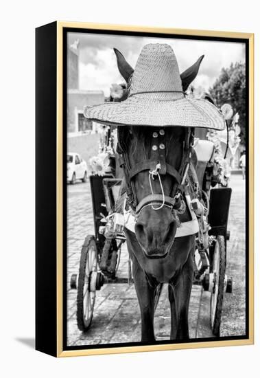 ¡Viva Mexico! B&W Collection - Horse with a straw Hat II-Philippe Hugonnard-Framed Premier Image Canvas