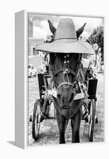 ¡Viva Mexico! B&W Collection - Horse with a straw Hat II-Philippe Hugonnard-Framed Premier Image Canvas