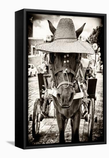 ¡Viva Mexico! B&W Collection - Horse with a straw Hat-Philippe Hugonnard-Framed Premier Image Canvas