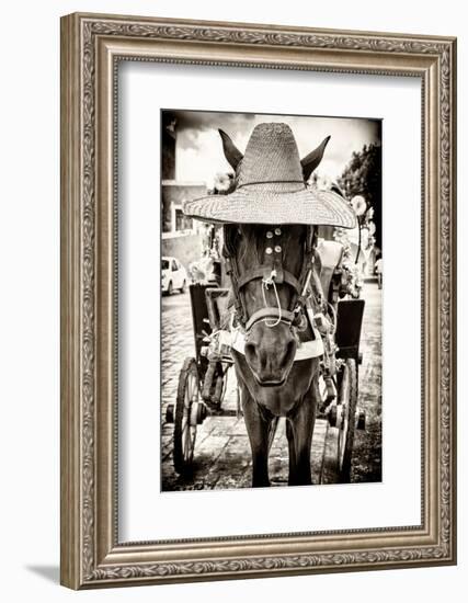 ¡Viva Mexico! B&W Collection - Horse with a straw Hat-Philippe Hugonnard-Framed Photographic Print