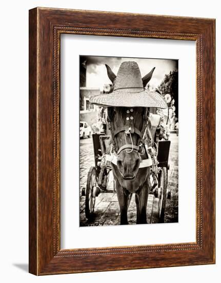 ¡Viva Mexico! B&W Collection - Horse with a straw Hat-Philippe Hugonnard-Framed Photographic Print