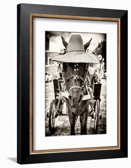 ¡Viva Mexico! B&W Collection - Horse with a straw Hat-Philippe Hugonnard-Framed Photographic Print