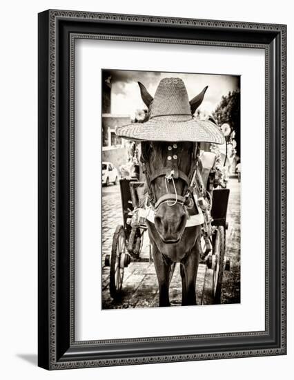¡Viva Mexico! B&W Collection - Horse with a straw Hat-Philippe Hugonnard-Framed Photographic Print