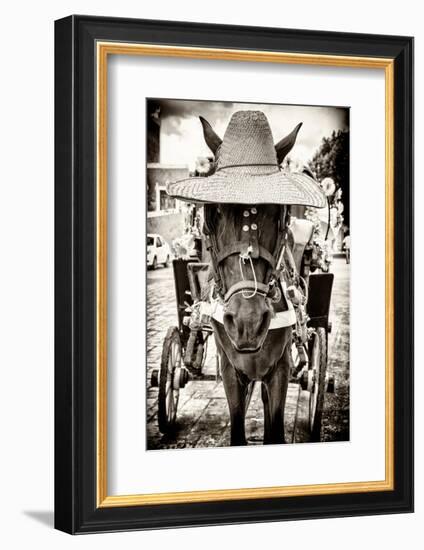 ¡Viva Mexico! B&W Collection - Horse with a straw Hat-Philippe Hugonnard-Framed Photographic Print