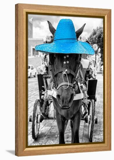 ¡Viva Mexico! B&W Collection - Horse with Blue straw Hat-Philippe Hugonnard-Framed Premier Image Canvas