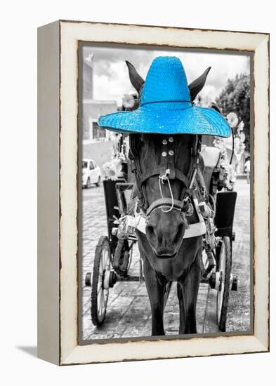 ¡Viva Mexico! B&W Collection - Horse with Blue straw Hat-Philippe Hugonnard-Framed Premier Image Canvas