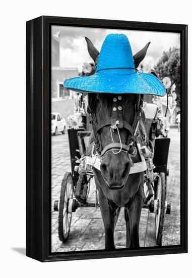 ¡Viva Mexico! B&W Collection - Horse with Blue straw Hat-Philippe Hugonnard-Framed Premier Image Canvas