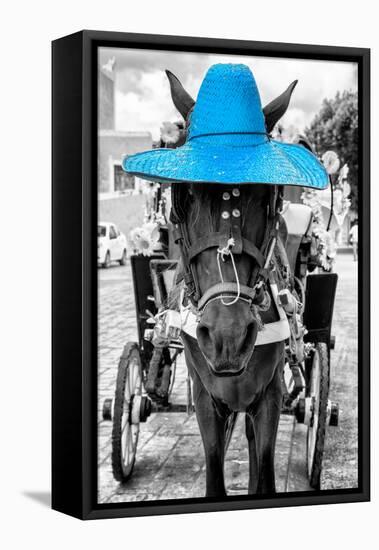 ¡Viva Mexico! B&W Collection - Horse with Blue straw Hat-Philippe Hugonnard-Framed Premier Image Canvas