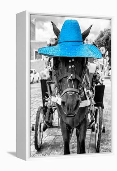 ¡Viva Mexico! B&W Collection - Horse with Blue straw Hat-Philippe Hugonnard-Framed Premier Image Canvas