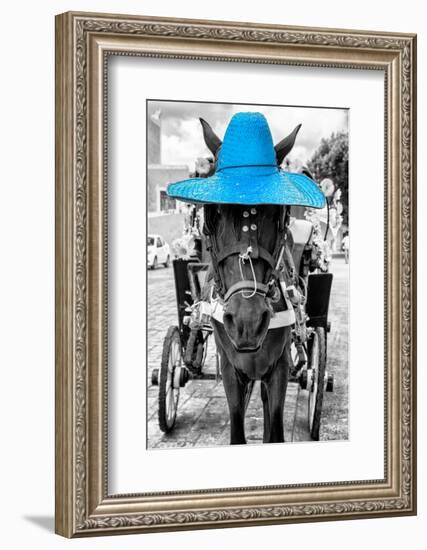 ¡Viva Mexico! B&W Collection - Horse with Blue straw Hat-Philippe Hugonnard-Framed Photographic Print