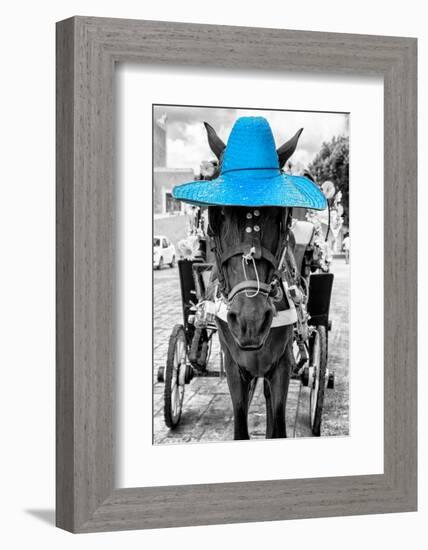 ¡Viva Mexico! B&W Collection - Horse with Blue straw Hat-Philippe Hugonnard-Framed Photographic Print