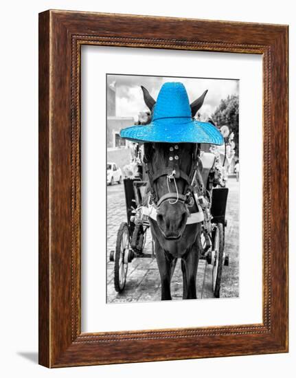 ¡Viva Mexico! B&W Collection - Horse with Blue straw Hat-Philippe Hugonnard-Framed Photographic Print