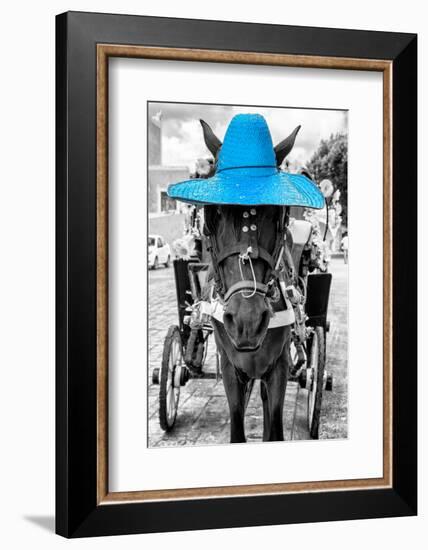 ¡Viva Mexico! B&W Collection - Horse with Blue straw Hat-Philippe Hugonnard-Framed Photographic Print