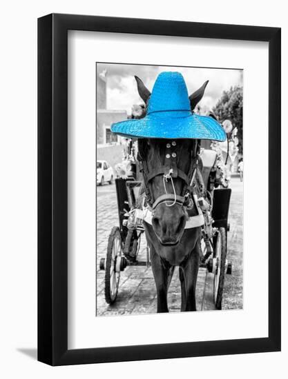 ¡Viva Mexico! B&W Collection - Horse with Blue straw Hat-Philippe Hugonnard-Framed Photographic Print