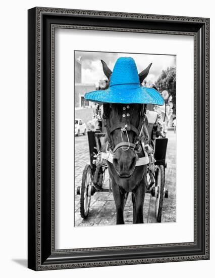 ¡Viva Mexico! B&W Collection - Horse with Blue straw Hat-Philippe Hugonnard-Framed Photographic Print