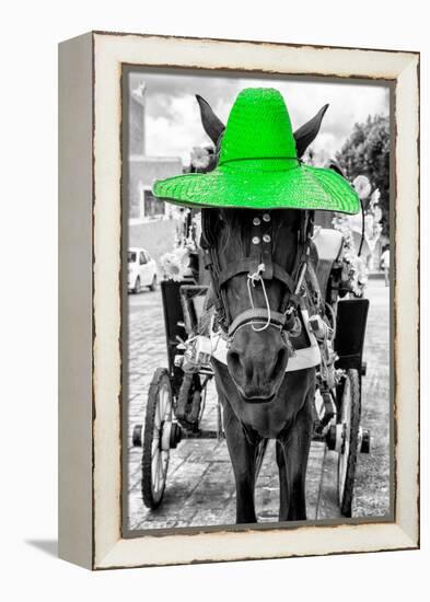 ¡Viva Mexico! B&W Collection - Horse with Green straw Hat-Philippe Hugonnard-Framed Premier Image Canvas