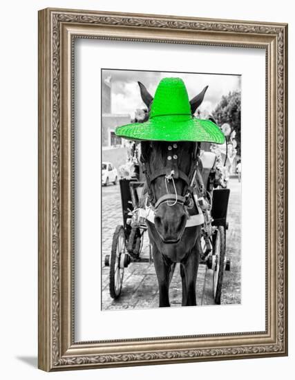 ¡Viva Mexico! B&W Collection - Horse with Green straw Hat-Philippe Hugonnard-Framed Photographic Print