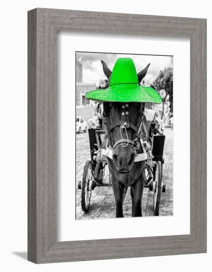 ¡Viva Mexico! B&W Collection - Horse with Green straw Hat-Philippe Hugonnard-Framed Photographic Print